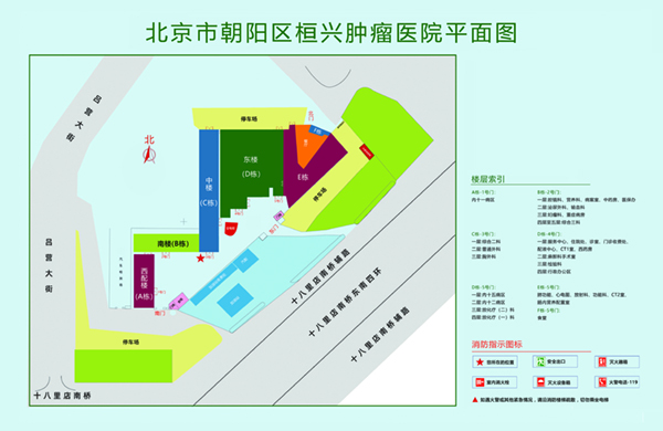 美国人日逼北京市朝阳区桓兴肿瘤医院平面图